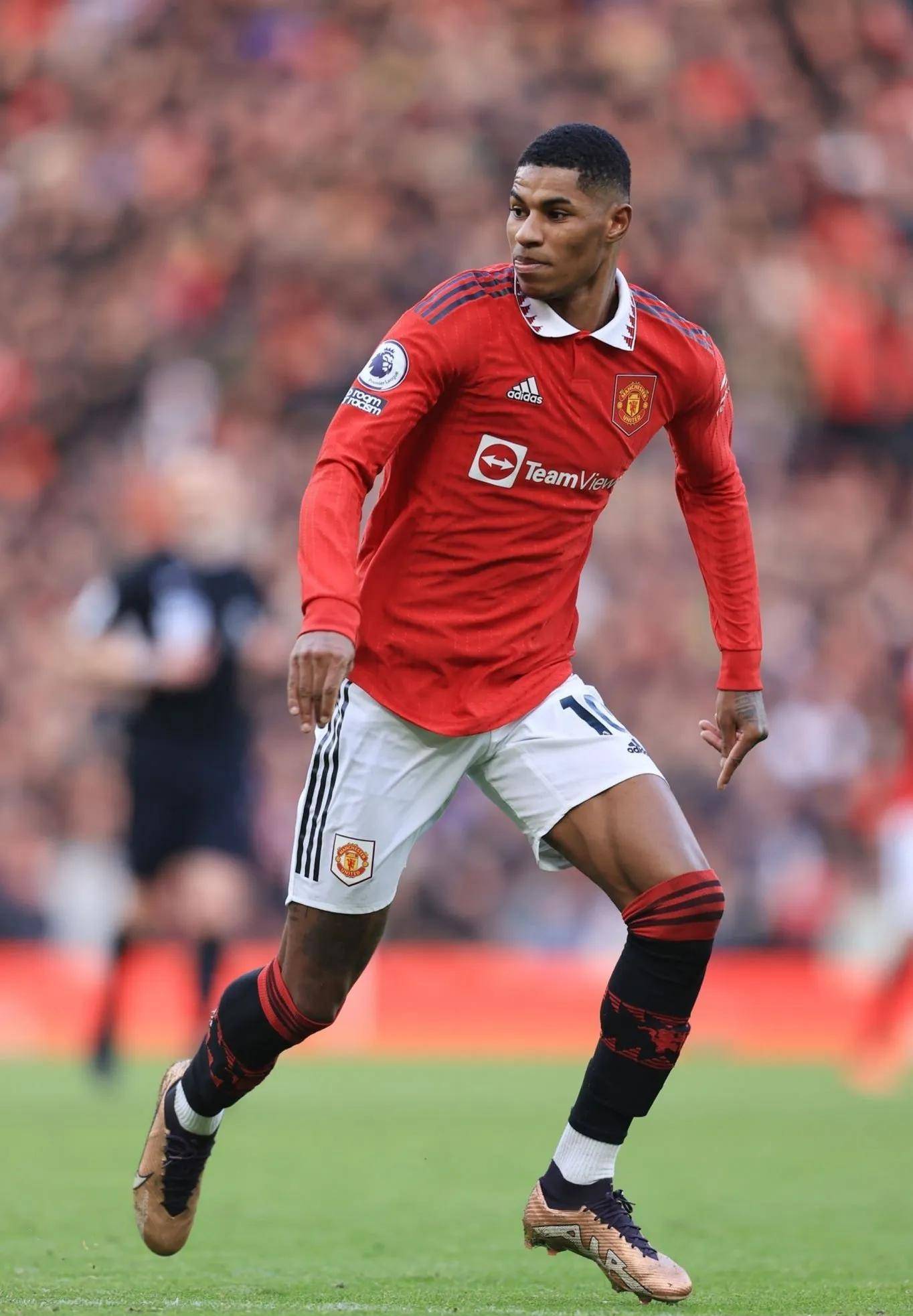 还表示这是 还表示这是