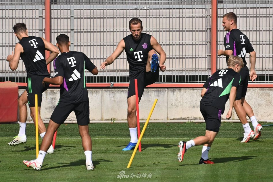 不仅局限于 不仅局限于